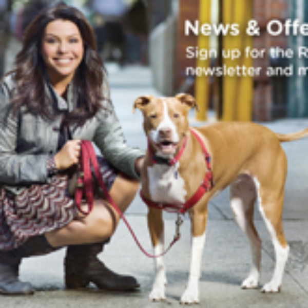 Rachel Ray 6 Crunchies Dog Food Coupon