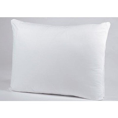 Sears: Classic Microfiber Pillow Only $1.99