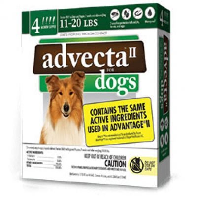 Advecta Coupon