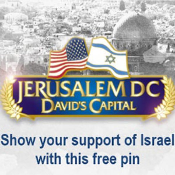 Free Support Israel Pin