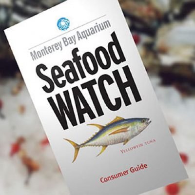 Free Seafood Watch Consumer Guide