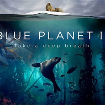 Free Blue Planet II Poster