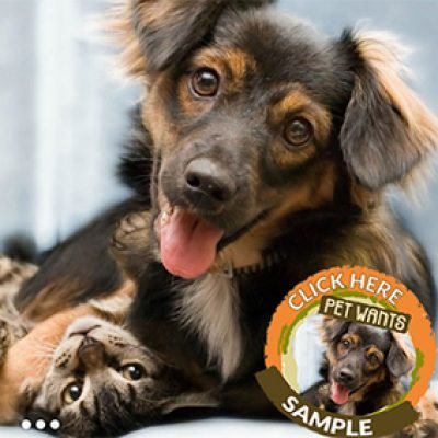Free Pet Wants Food Samples