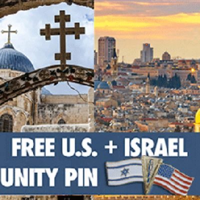 Free US + Isreal Unity Pin