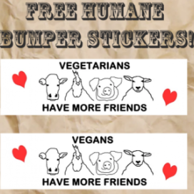 Free Humane Bumper Stickers