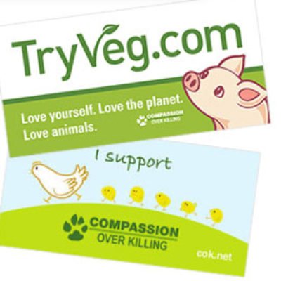 Free TryVeg Bumper Sticker