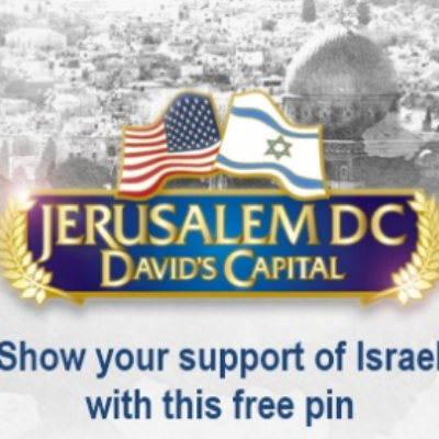 Free Israel / USA Pin
