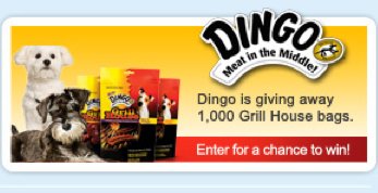 dingo sweepstakes