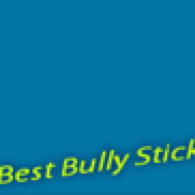 Free Bully Stick Sample