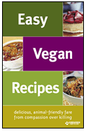 vegan recipe booklet