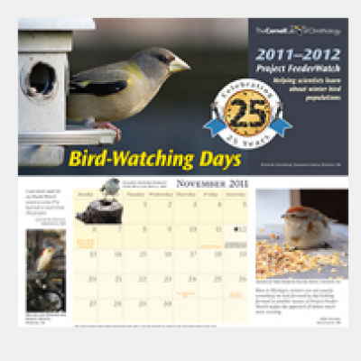 Free 2012 "Bird-Watching Days" Calendar