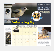 bird watiching calendar