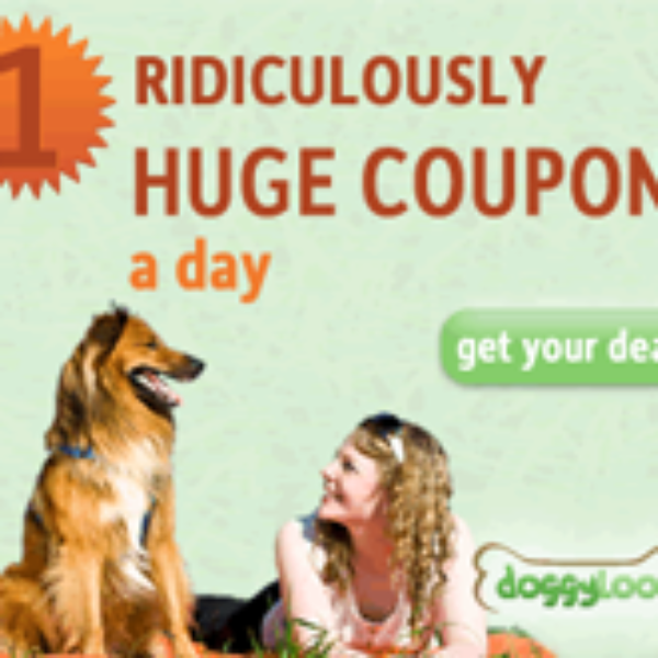doggyloot