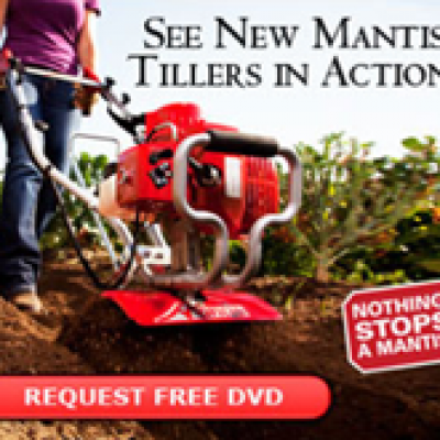Free Mantis DVD