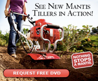 mantis dvd