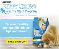 purina puppy chow