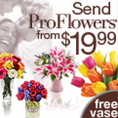 Send ProFlowers To Your Valentine!