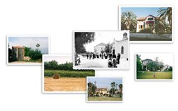 Free Family Tree Builder