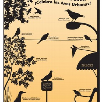 Free "Celebrate Urban Birds!" Kit