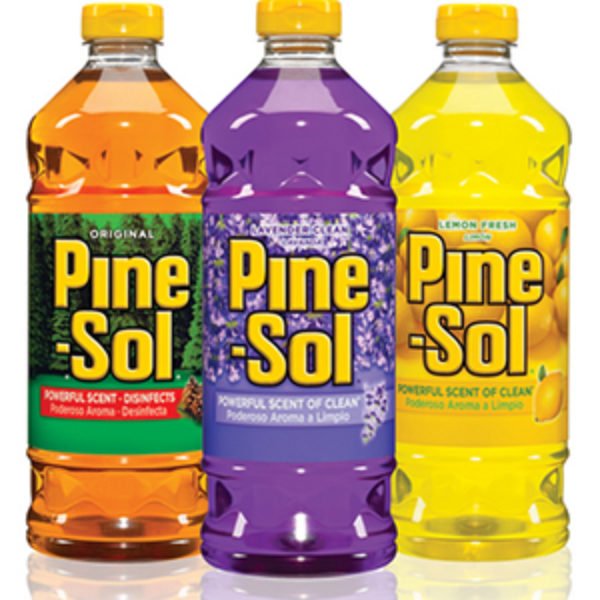 Pine-Sol $1.00 Off Any (2) Coupon - Oh Yes It's Free