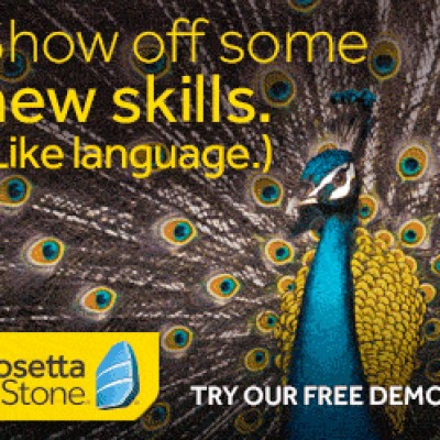 Free Rosetta Stone Demo
