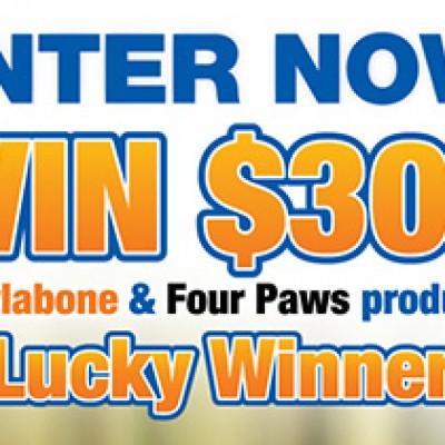 Nylabone Fall Sweepstakes - Ends October 31st