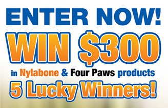 Nylabone Fall Sweepstakes advertisement