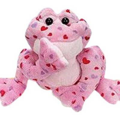 Webkinz Love Frog Limited Edition Release Only $5.27 (Reg $14.99)