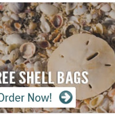 Free Shell Bags