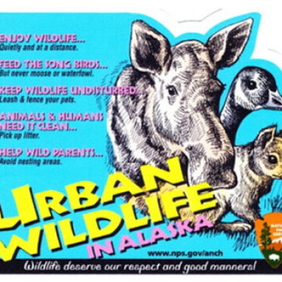Free Urban Wildlife Stickers