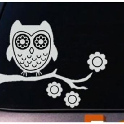 Vinyl Owl Decal Only $3.99 + Free Shipping