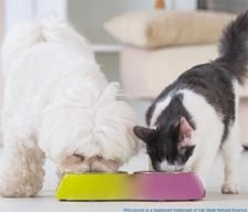 Free Pet Probiotic Samples