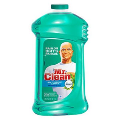 Mr. Clean Coupons