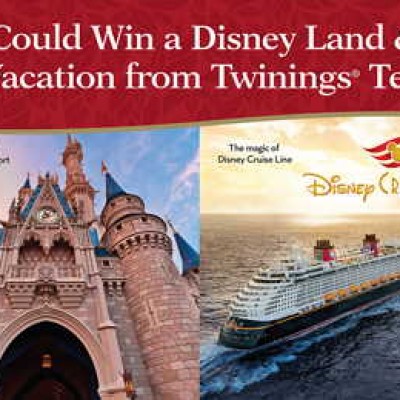 Disney Vacation Sweepstakes: Disney World & Cruise