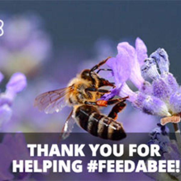 Free Flower Seeds