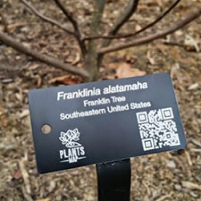 Free Customized Plant Tag Sample