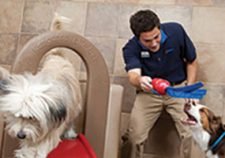Petsmart Grooming & Day Camp Discounts