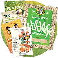 Free Butterfly Garden Starter Packet