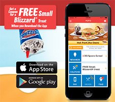 DQ: Free Small Blizzard