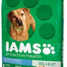 Iams Dog Food Coupon