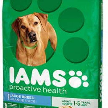 Iams Dog Food Coupon