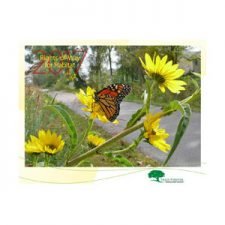 Free 2017 Trees Forever Calendar