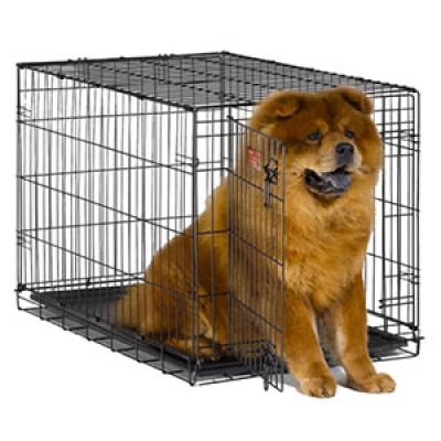 MidWest iCrate Folding Dog Crate Just $20.99 (Reg $74.99) + Prime