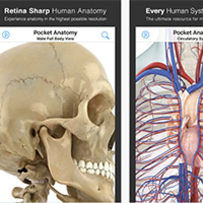 Free Pocket Anatomy App for iOS
