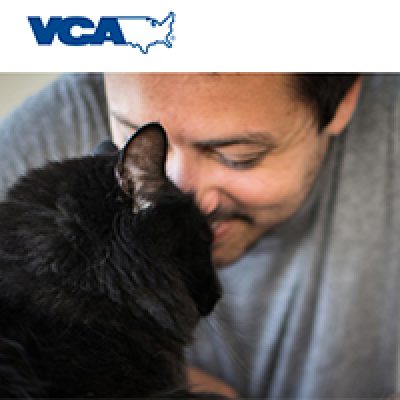 Free Pet Health Exam @ VCA Animal Hospitals