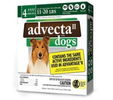 Advecta Coupon