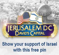 Free Support Israel Pin