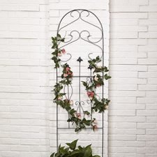 Black Iron Garden Trellis Just $15.99 + Prime