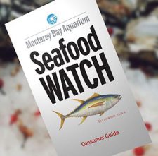 Free Seafood Watch Consumer Guide