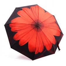 Oak Leaf Umbrella Just $11.99 (Reg $25)